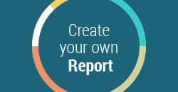 Create your own Report